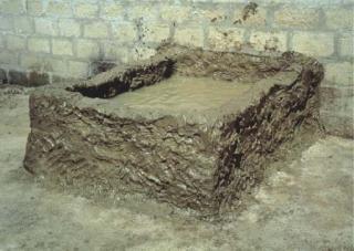 Giuseppe Gabellone - Tank