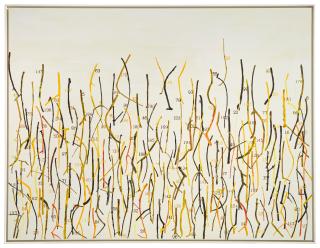 Giuseppe Gallo - Numeri impazziti