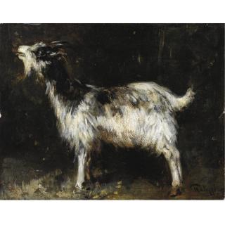 Giuseppe Palizzi - Capretta