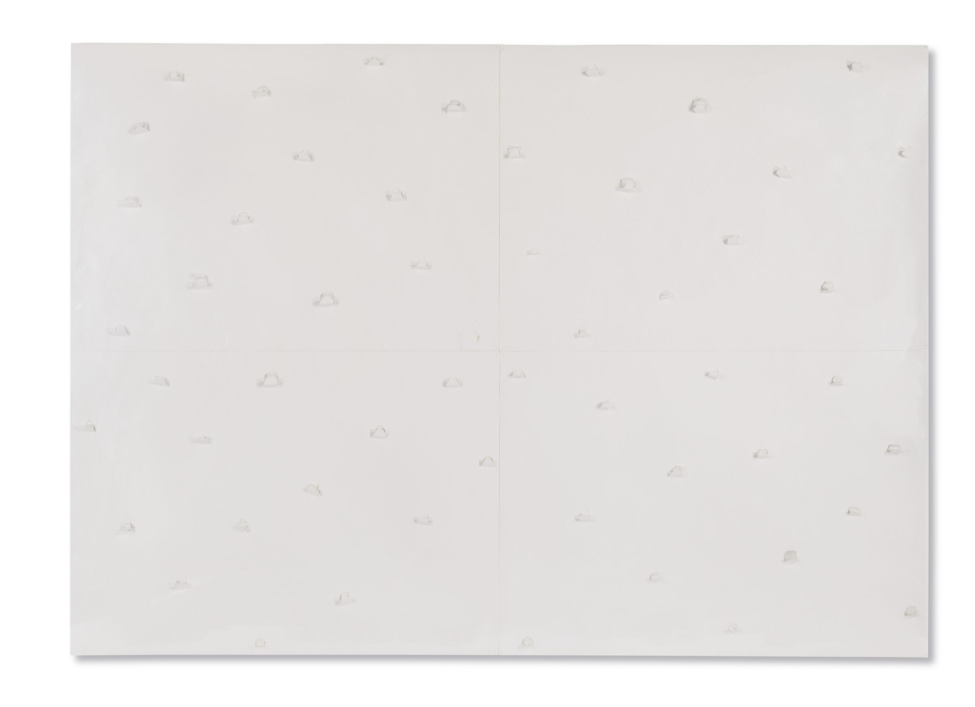 Giuseppe Penone - 53 Unghiate