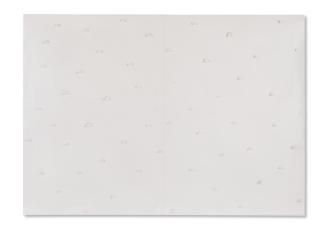 Giuseppe Penone - 53 Unghiate