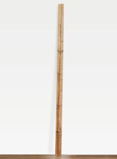 Giuseppe Penone - Albero Di 5 Metri