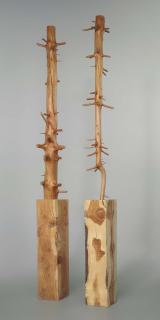 Giuseppe Penone - Albero Di 7 Metri