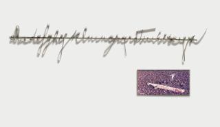 Giuseppe Penone - Alfabeto