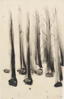 Giuseppe Penone - Arbres