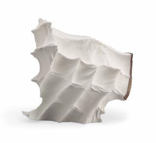 Giuseppe Penone - Coccio