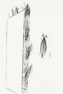 Giuseppe Penone - I Colori Dei Temporali