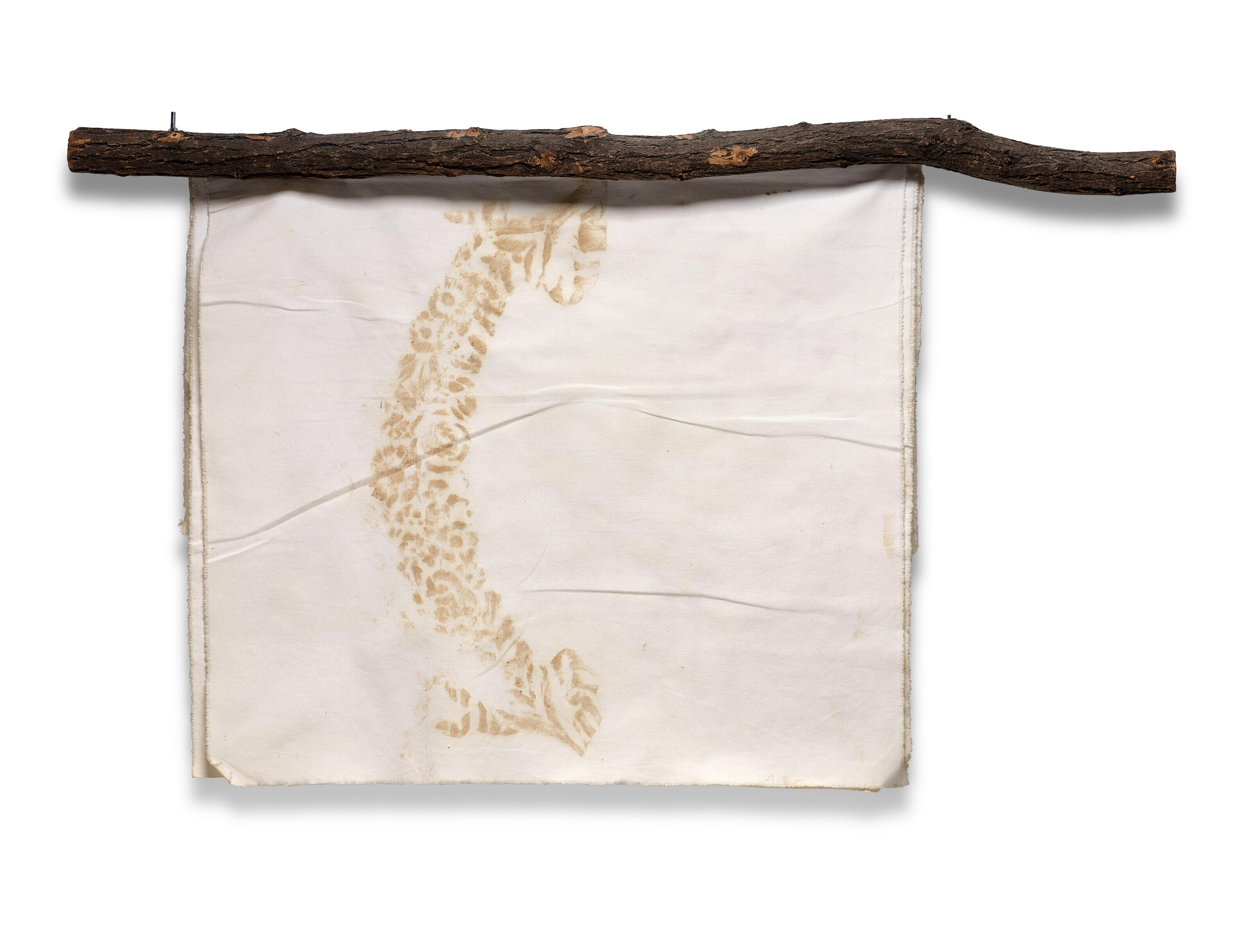 Giuseppe Penone - Il libro dei verdi del bosco