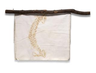 Giuseppe Penone - Il libro dei verdi del bosco