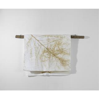 Giuseppe Penone - Il Libro Dei Verdi Del Bosco