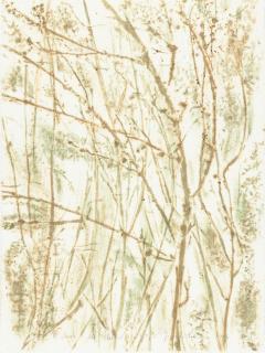 Giuseppe Penone - „Il verde del bosco“