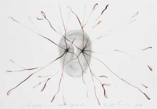 Giuseppe Penone - La Propagazione Dello Sguardo (Propagation Of The Glance)