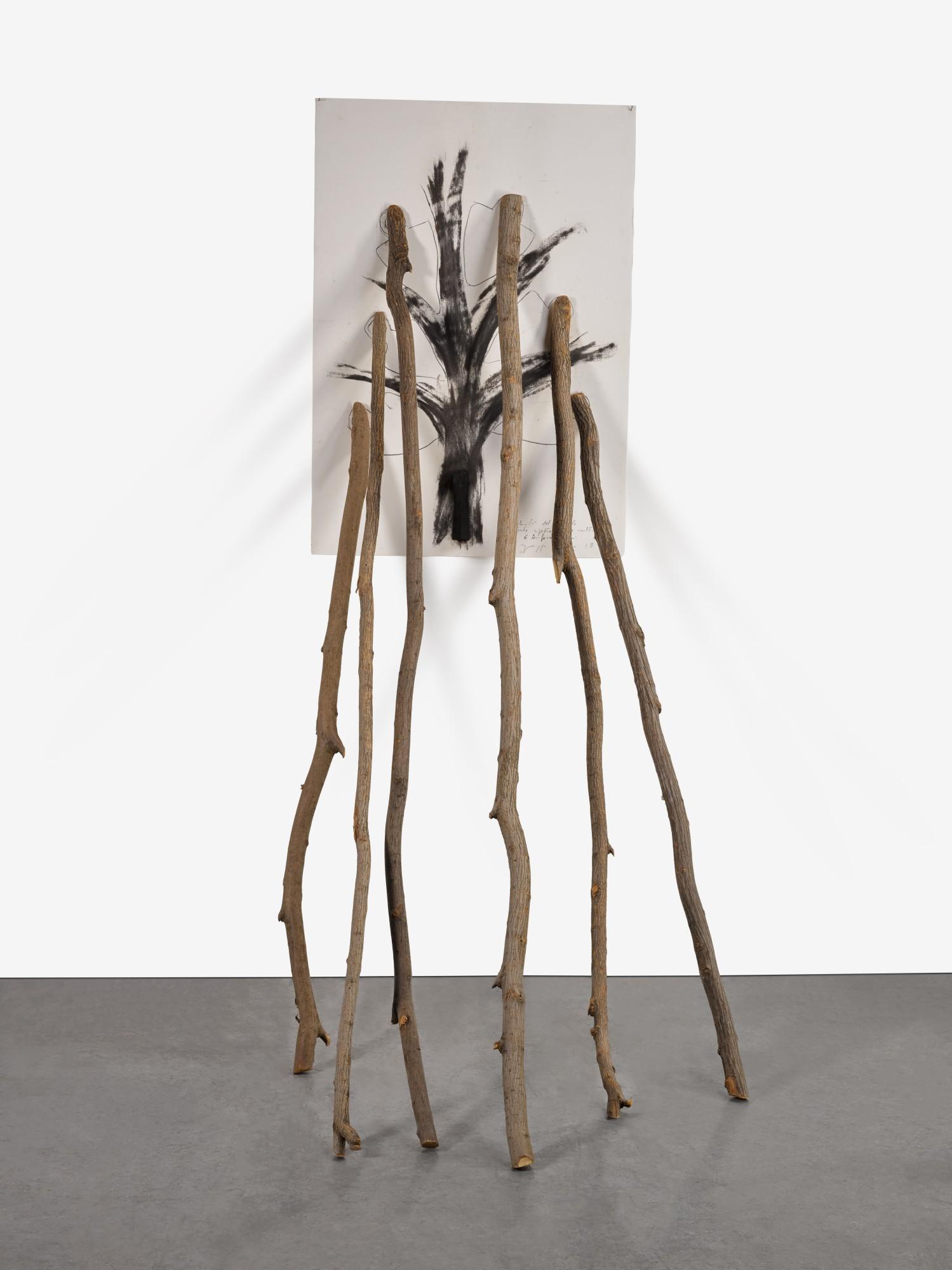 Giuseppe Penone - La Velocità del Vegetale - Il Lento Ripetersi della Scultura (6 Biforcazioni)