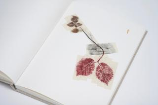 Giuseppe Penone - Les Reveries Du Promeneur Solitaire, 2010