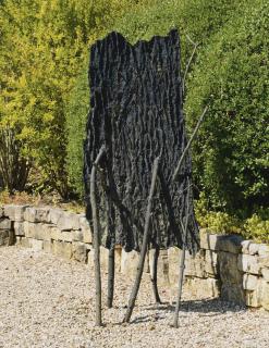 Giuseppe Penone - Lo Spazio Della Scultura Pelle Di Cedro - Chiodo