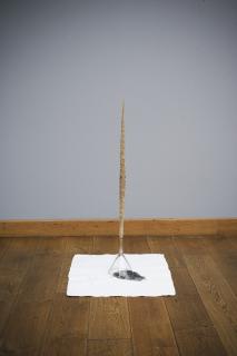 Giuseppe Penone - Muta (La Pelle Del Tempo)