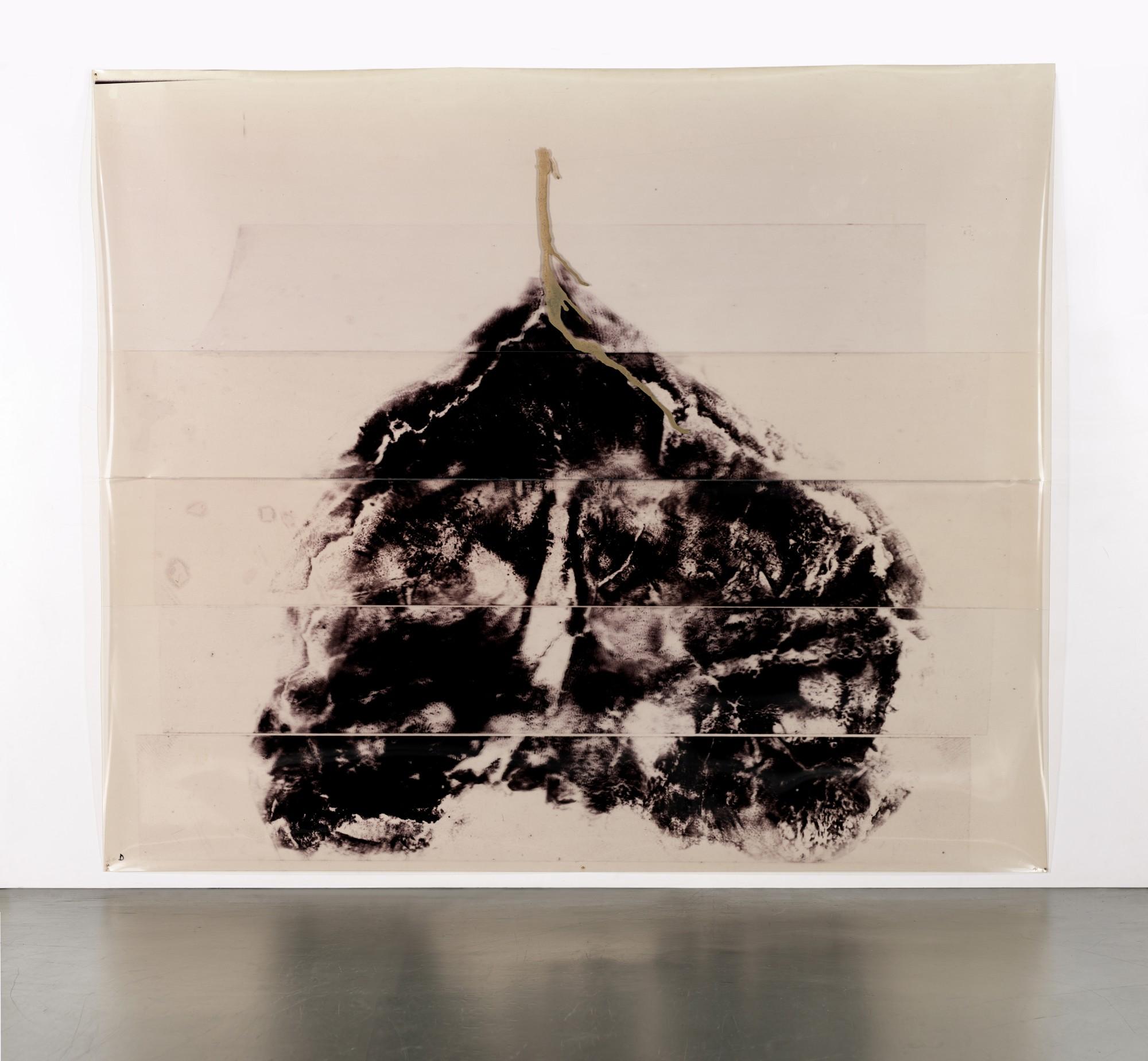 Giuseppe Penone - Paesaggio del Cervello