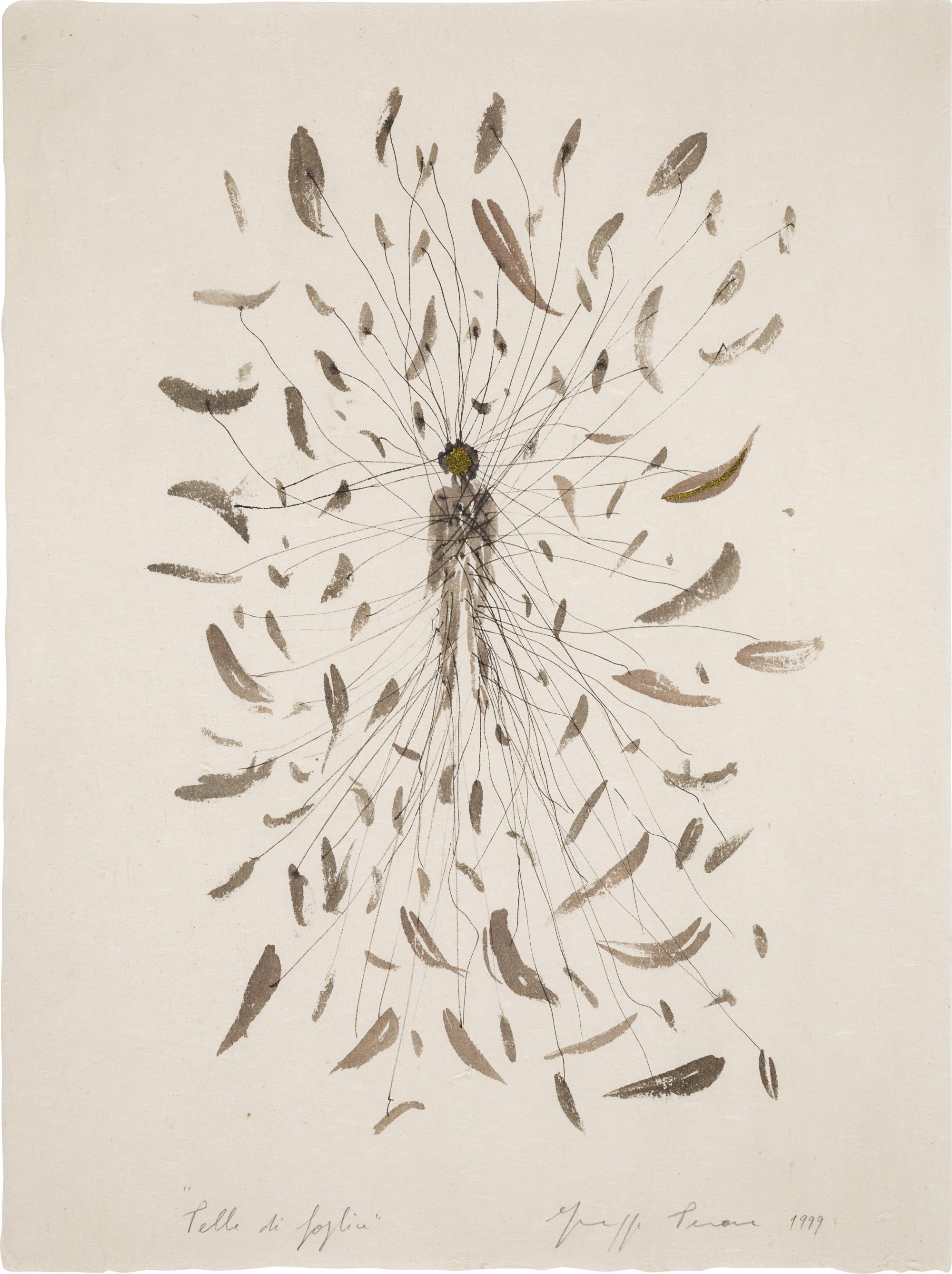 Giuseppe Penone - Pelle di Foglie I