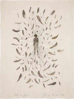 Giuseppe Penone - Pelle di Foglie I