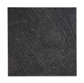 Giuseppe Penone - Pelle di grafite - riflesso di alurgite (Skin of graphite - reflection of alurgite)