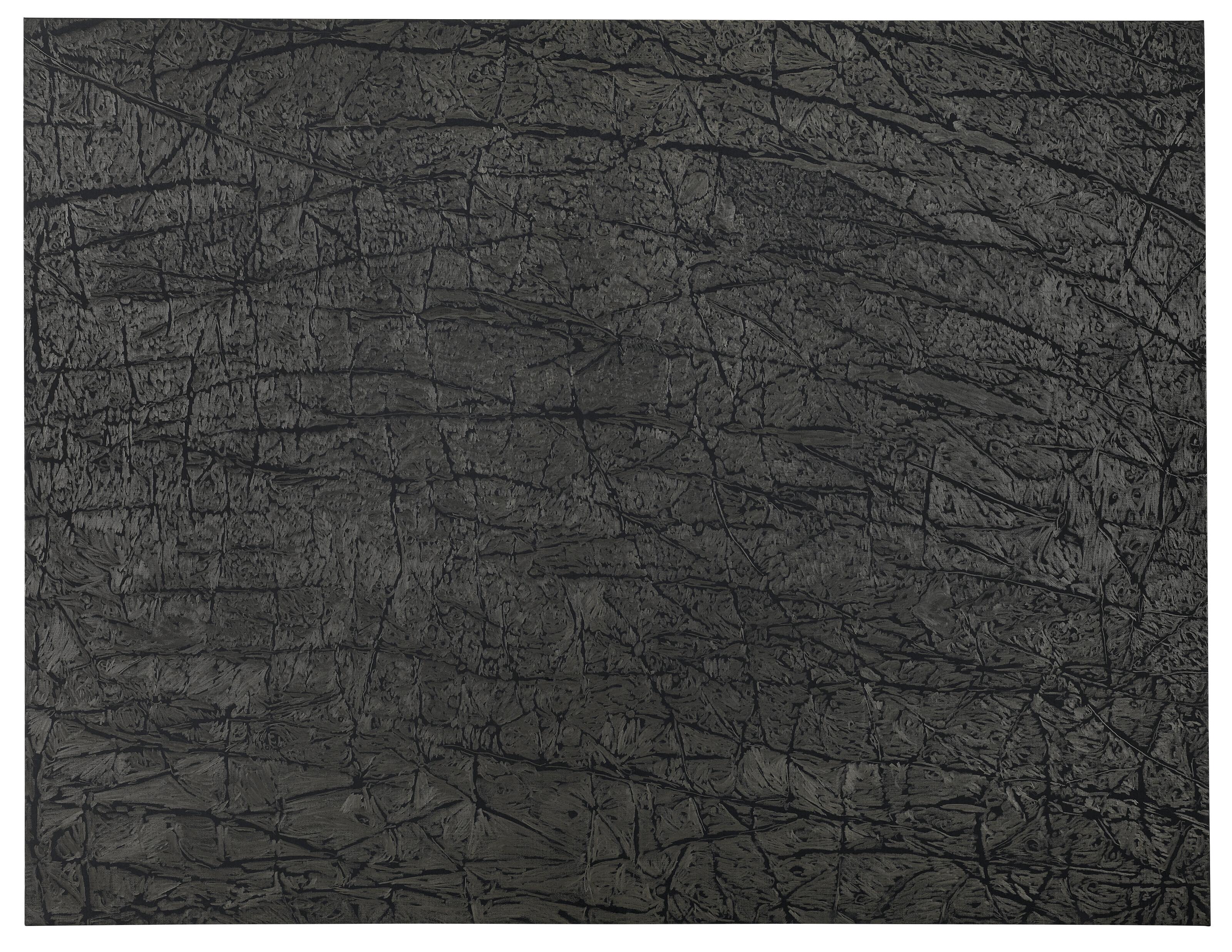 Giuseppe Penone - Pelle di grafite - Riflesso di bauxite