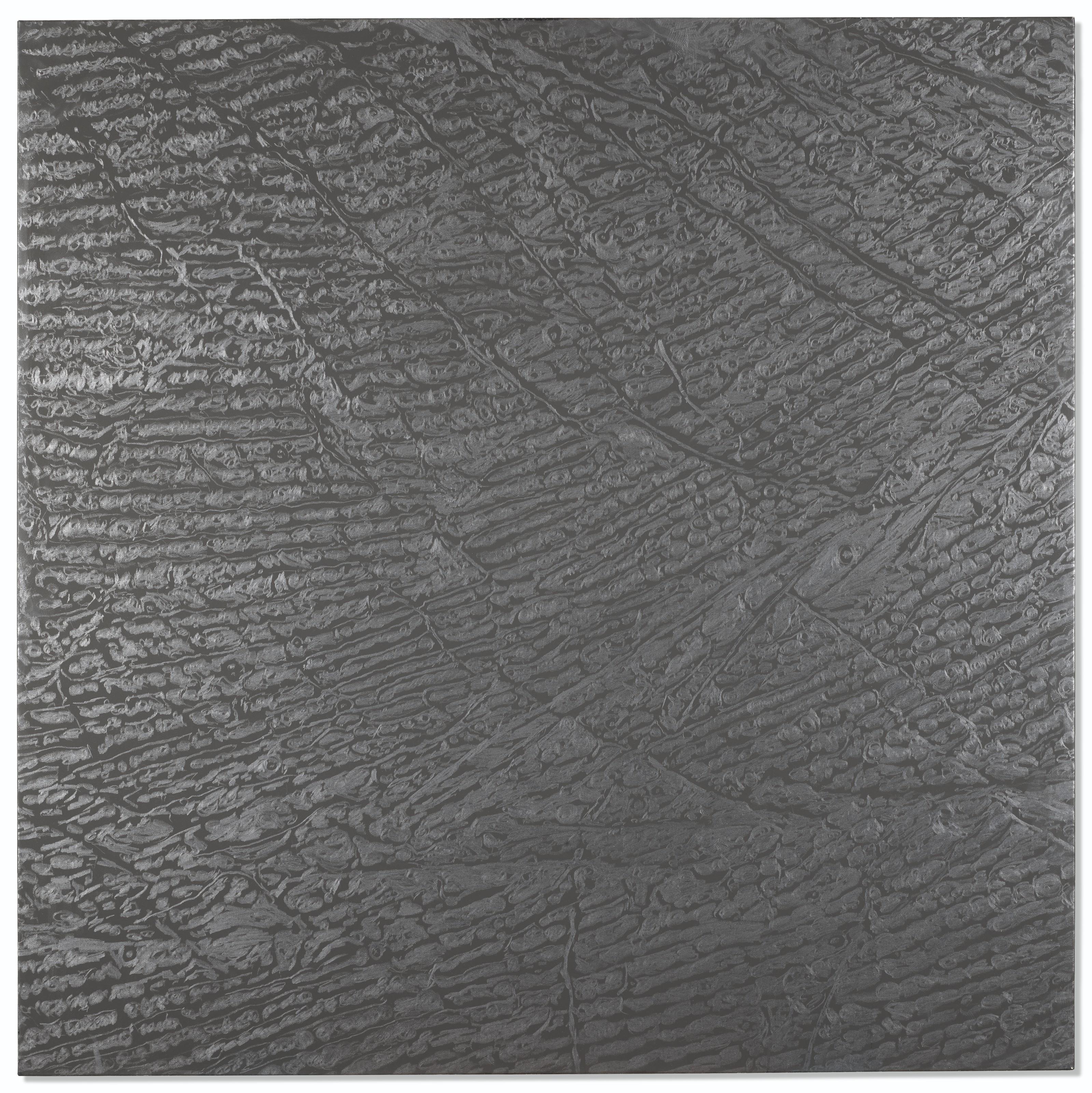 Giuseppe Penone - Pelle di grafite - riflesso di cuprite (Skin of graphite - reflections of Cuprite)