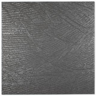 Giuseppe Penone - Pelle di grafite - riflesso di cuprite (Skin of graphite - reflections of Cuprite)