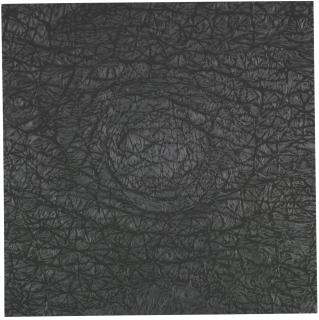 Giuseppe Penone - Pelle Di Grafite Riflesso Di Fuchstite