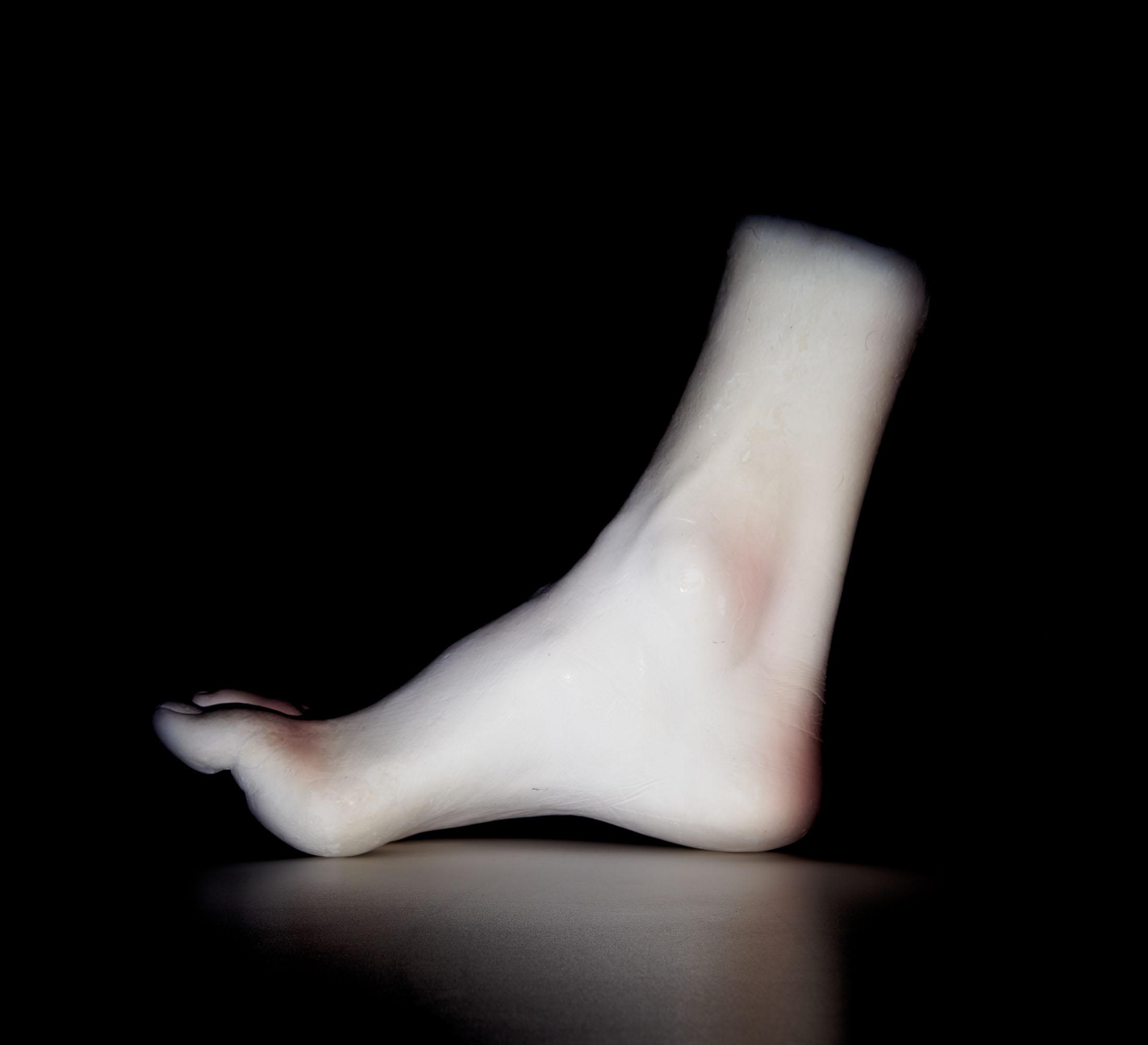 Giuseppe Penone - Piede