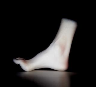 Giuseppe Penone - Piede