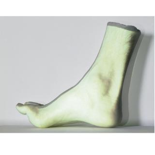 Giuseppe Penone - Piede