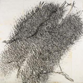 Giuseppe Penone - Pressione