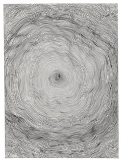 Giuseppe Penone - Propagazione