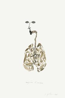 Giuseppe Penone - Respirare L\'Ombra (To Breathe the Shadow)