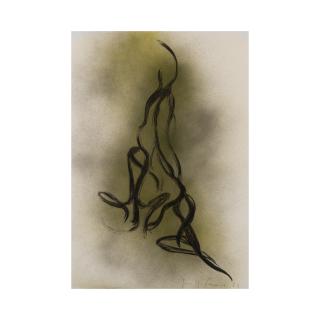 Giuseppe Penone - Sans titre (Gesti vegetali)