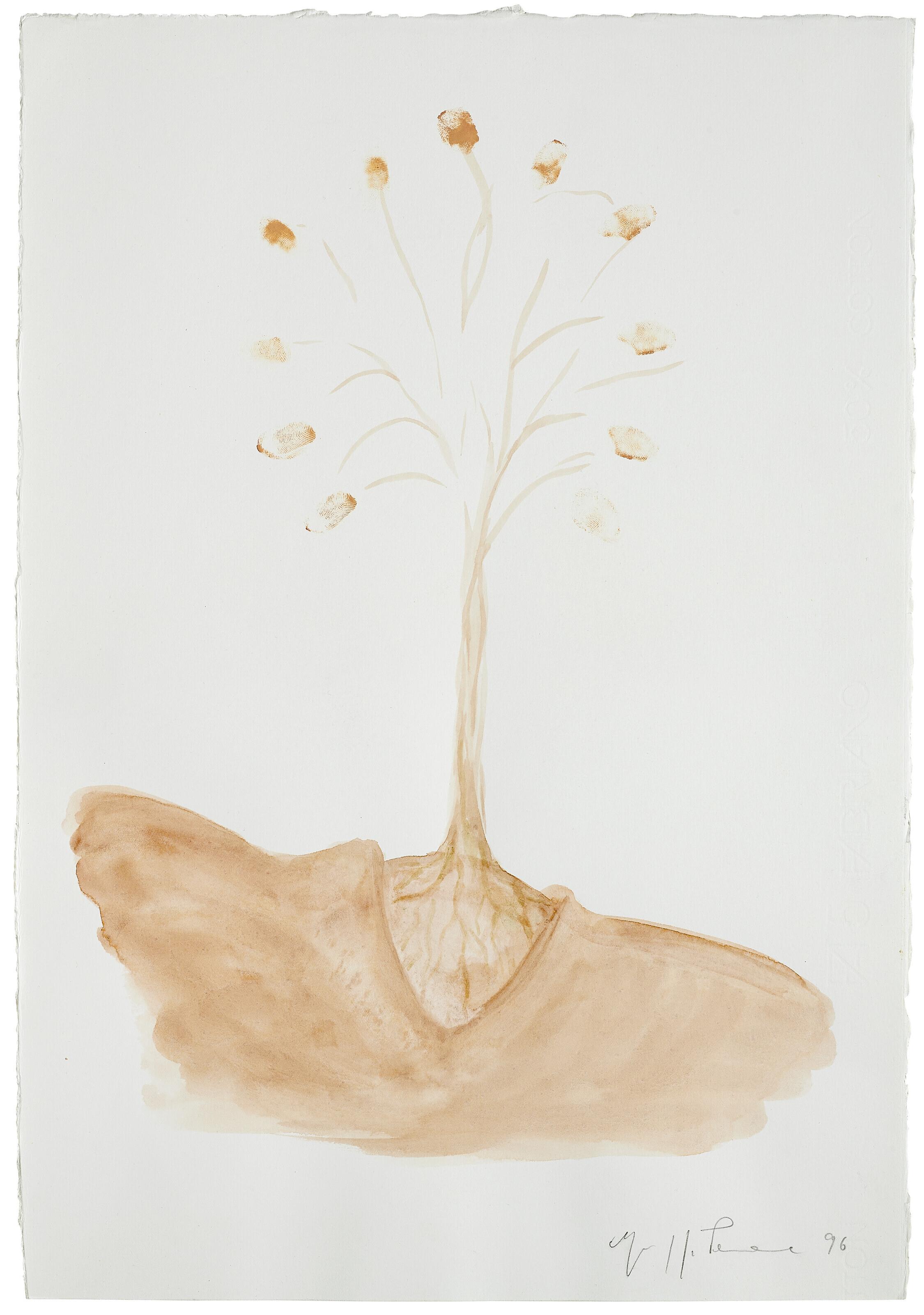 Giuseppe Penone - Senza titolo