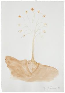 Giuseppe Penone - Senza titolo