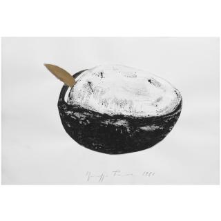 Giuseppe Penone - Senza Titolo