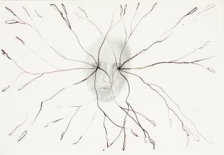 Giuseppe Penone - Sguardo Vegetale