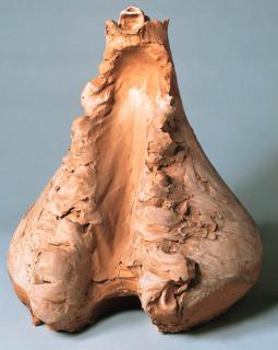 Giuseppe Penone - Soffio