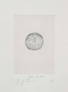 Giuseppe Penone - Spazio di Luce (Space of Light)