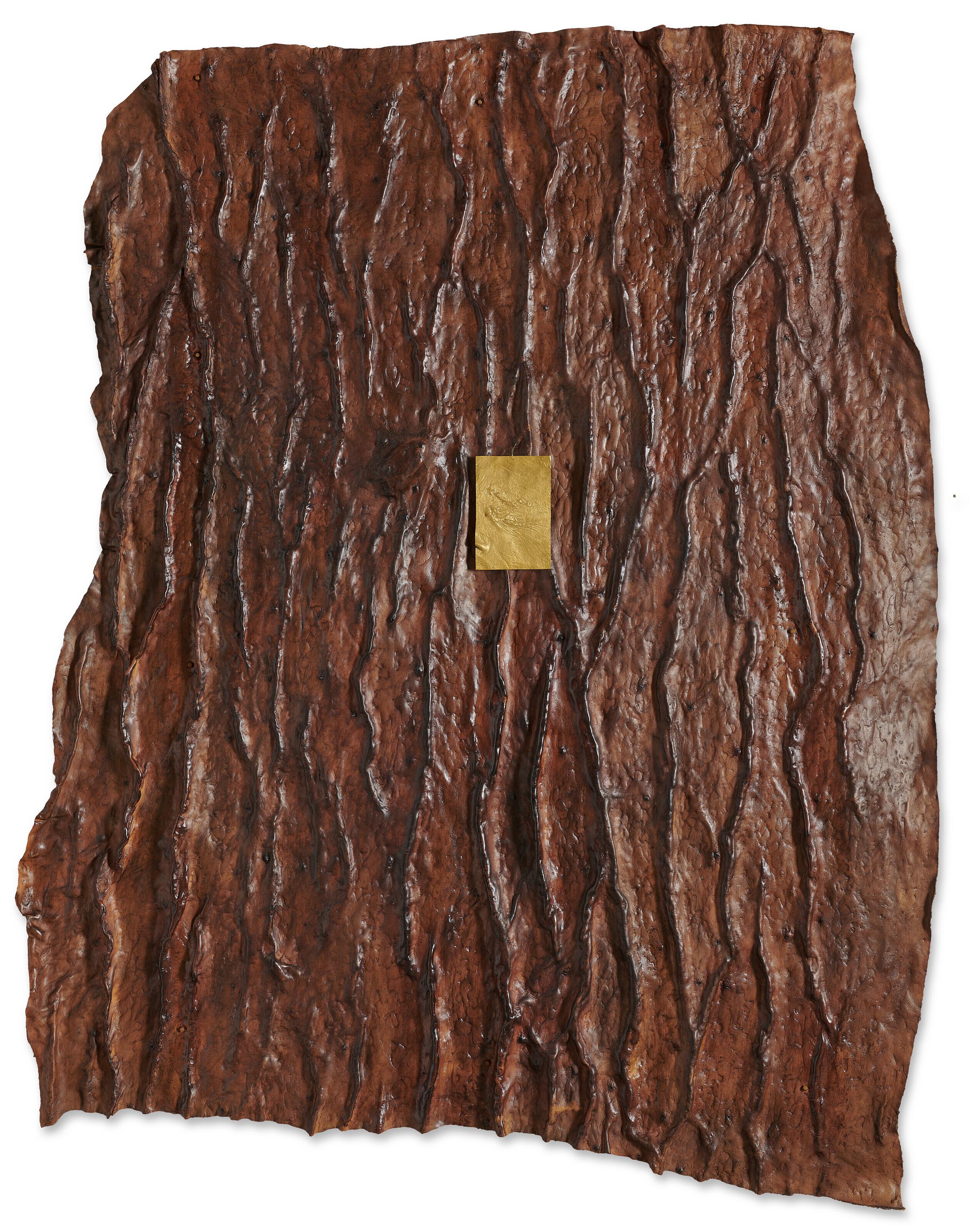 Giuseppe Penone - Spoglia d\'oro su pelle di cedro