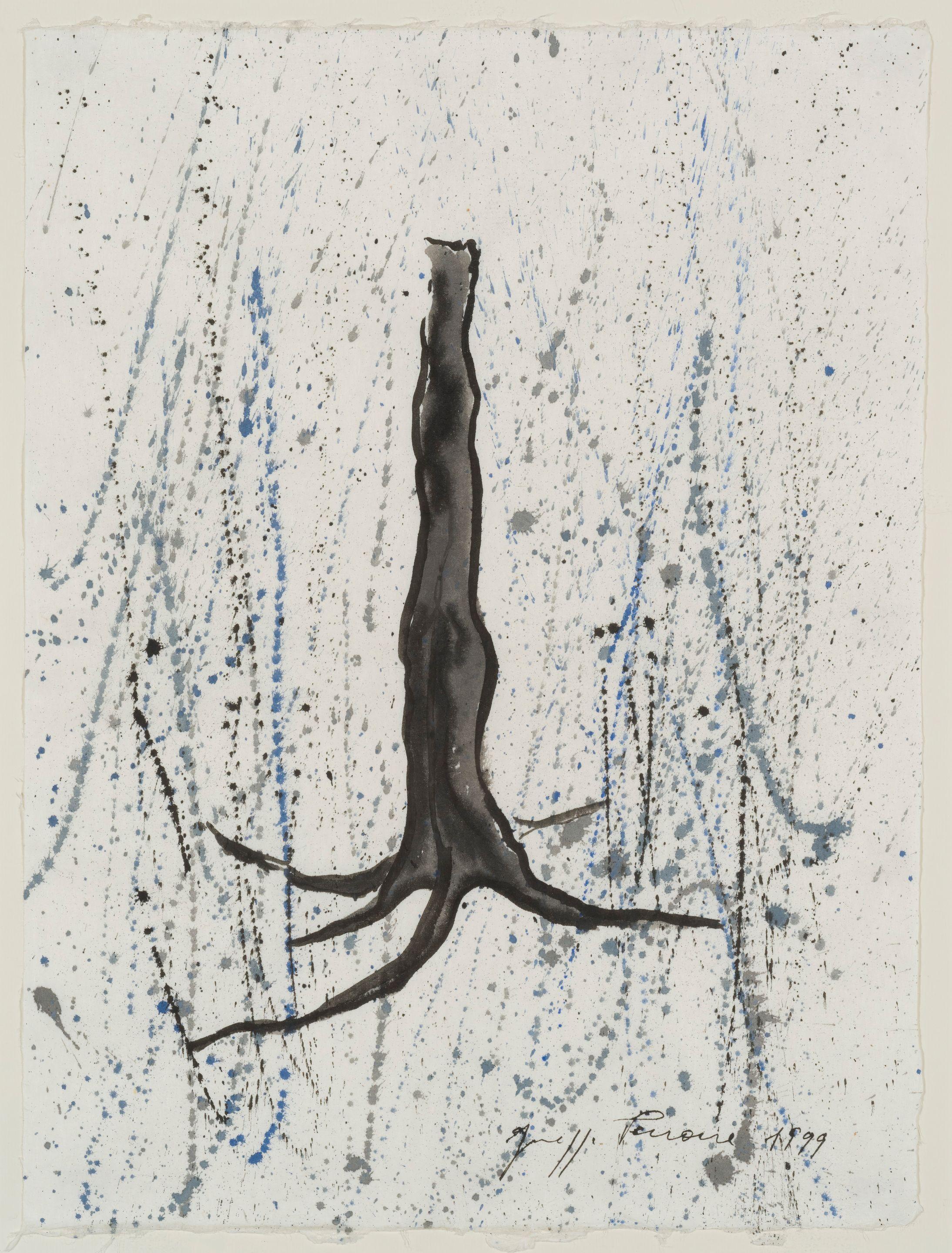 Giuseppe Penone - Studio per Elevazione I