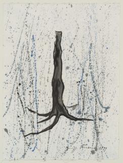 Giuseppe Penone - Studio per Elevazione I