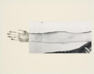 Giuseppe Penone - Svolgere La Propria Pelle, Coincidenza Di Immaginesigned, Titled And Dated 12 Giugno 1970, Photograph, Ink On Paper