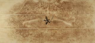 Giuseppe Penone - Terra d\'Ombra