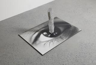 Giuseppe Penone - Trappola Di Luce