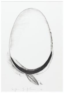 Giuseppe Penone - Unghiasigned, Dated 88 And Titled; Charcoal On Paper.