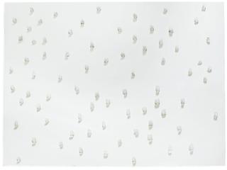 Giuseppe Penone - Unghiate, 2004