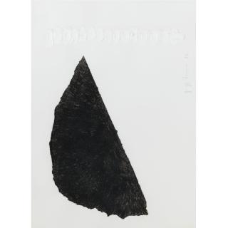 Giuseppe Penone - Untitled